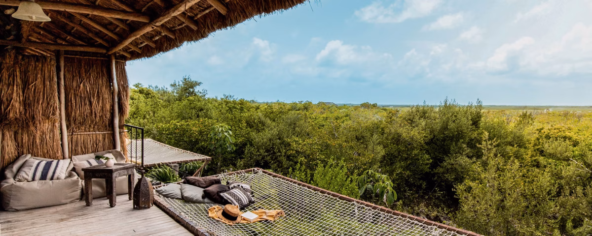The Evolution of the Wild: How Modern Safari Lodges Cater to Wellness and Fitness Goals