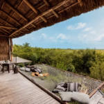 The Evolution of the Wild: How Modern Safari Lodges Cater to Wellness and Fitness Goals