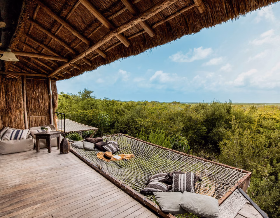 The Evolution of the Wild: How Modern Safari Lodges Cater to Wellness and Fitness Goals