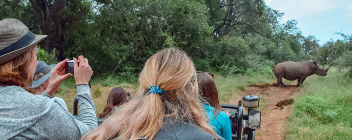 The Safari Wardrobe Guide: Choosing the Right Color Palette for the African Bush