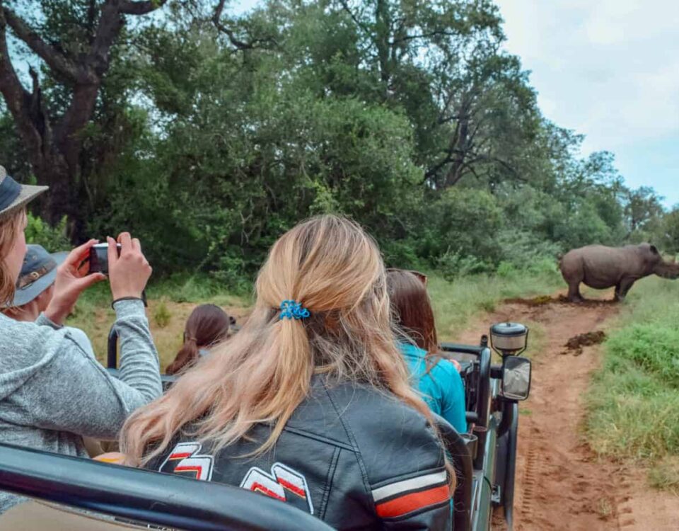 The Safari Wardrobe Guide: Choosing the Right Color Palette for the African Bush