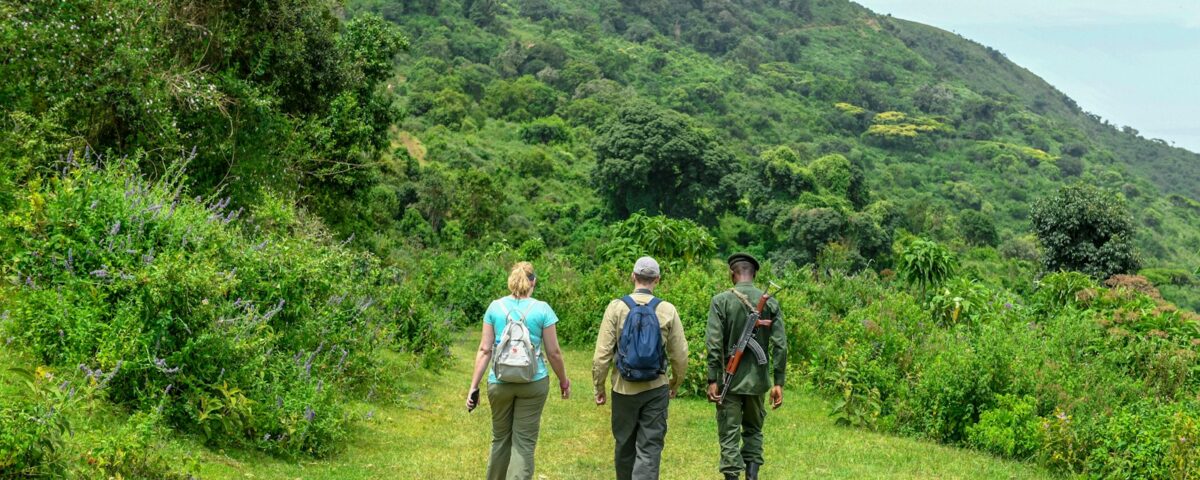 Stepping into the Wild: The Right Footwear for Mountain Trekking vs. Savannah Game Drives