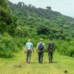 Stepping into the Wild: The Right Footwear for Mountain Trekking vs. Savannah Game Drives
