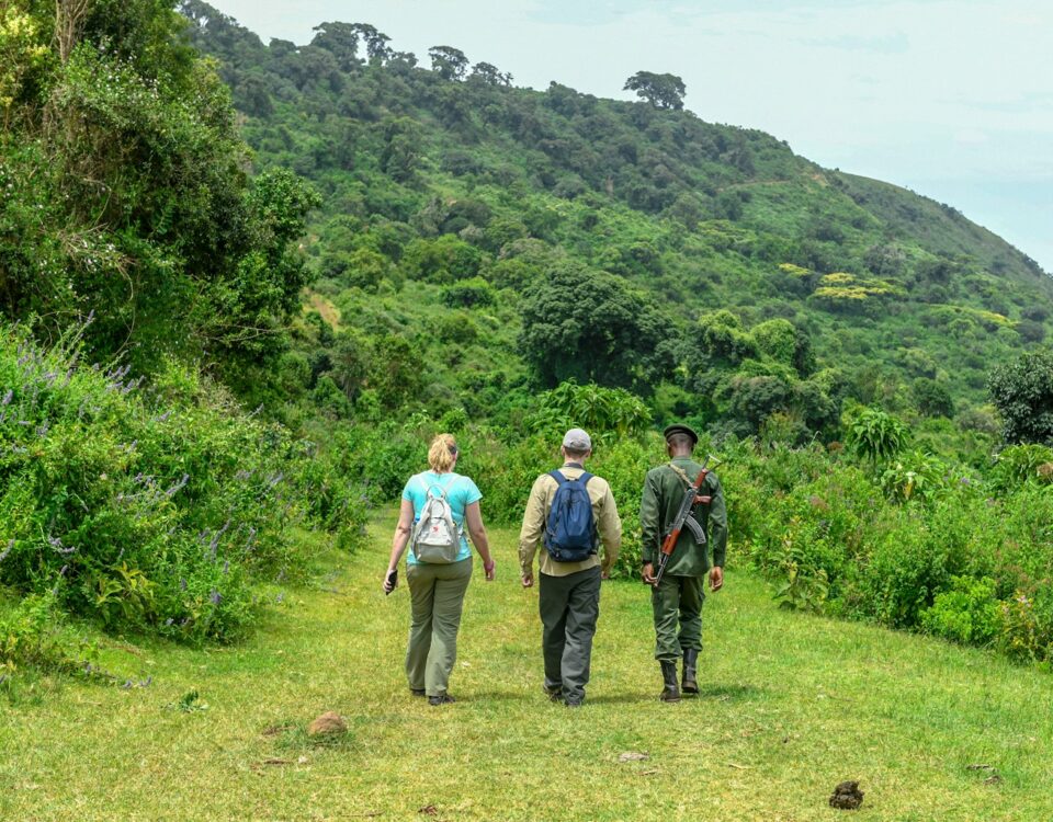 Stepping into the Wild: The Right Footwear for Mountain Trekking vs. Savannah Game Drives