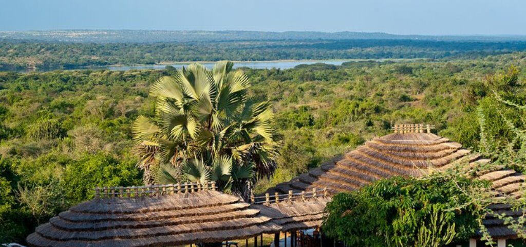 High-Altitude Safari Lodges: Climate & Insect Advantages