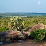 High-Altitude Safari Lodges: Climate & Insect Advantages